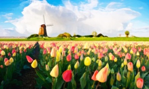 Dutch Windmill Flowers Watercolor